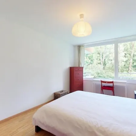Stunning 1-bed In Apartment Epalinges